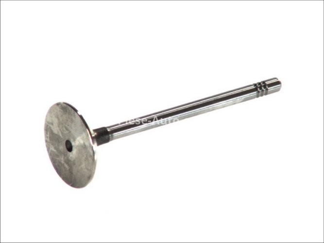 Supapă de admisie Freccia , (dimensiuni: 34,5x6x99,1mm) , pentru: SEAT CORDOBA, IBIZA III; SKODA FABIA I, FABIA I PRAKTIK, FABIA II; VW FOX, POLO 1.2/1.4/1.6 07.01-12.14