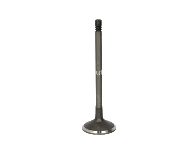 Supapă de admisie Freccia , (dimensiuni: 32x6x104,3mm) , pentru: VOLVO C30, C70 I, C70 II, S40 II, S60 I, S70, S80 I, V50, V70 I, V70 II, XC70 I, XC90 I 2.0-2.9 12.95-09.14