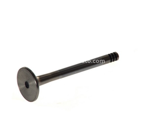 Supapă de evacuare Freccia , (dimensiuni:31,2x8x95,5 mm) , pentru: AUDI 100 C3, 100 C4, 80 B3, 80 B4, A6 C4; SEAT CORDOBA, IBIZA II, INCA, TOLEDO I; SKODA FELICIA I, FELICIA II; VW CADDY II 1.9D/2.4D/2.5D 05.89-01.04