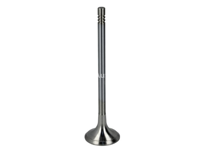 Supapă de evacuare Freccia , (dimensiuni: 24,6x5x94 mm) , pentru: BMW 1 (E81), 1 (E82), 1 (E87), 1 (E88), 1 (F20), 1 (F21), 1 (F40), 2 (F22, F87), 2 (F23), 2 (F45), 2 GRAN COUPE (F44) 1.5D-3.0DH 06.04-