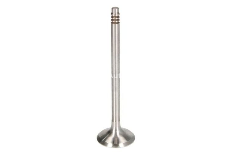 Supapă de evacuare Freccia , (dimensiuni: 28,5x6x99,8 mm) , pentru: BMW 1 (F20), 1 (F21), 1 (F40), 2 (F22, F87), 2 (F23), 2 (F45), 2 GRAN COUPE (F44), 2 GRAN TOURER (F46), 3 (F30, F80), 3 (F31), 3 (G20 1.5-3.0 09.13-