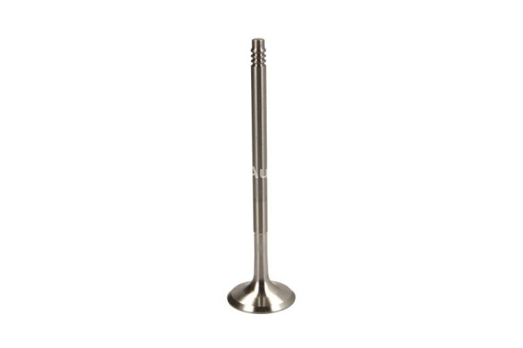 Supapă de evacuare Freccia , (dimensiuni: 29x6x110,5 mm) , pentru: BMW 1 (E81), 1 (E82), 1 (E87), 1 (E88), 3 (E90), 3 (E91), 3 (E92), 3 (E93), 5 (E60), 5 (E61), 5 (F10), 5 (F11), 6 (E63), 6 (E64), 7 (E65 3.0 09.04-06.15