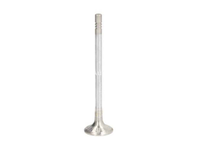 Supapă de evacuare Freccia , (dimensiuni: 23,5x5,5x96,25 mm) , pentru: CITROEN BERLINGO MULTISPACE, BERLINGO/MINIVAN, C3 I, C3 PICASSO, C4, C4 GRAND PICASSO I, C4 I, C4 PICASSO I, C5 II, C5 III 1.6D 11.03-