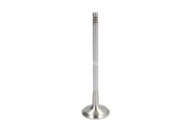 Supapă de evacuare Freccia , (dimensiuni: 27,3x5x98,7 mm) , pentru: FIAT DOBLO, DOBLO/MINIVAN, PALIO, PANDA, PUNTO, SEICENTO / 600, SIENA, STRADA; LANCIA Y, YPSILON 1.1-1.3 02.95-