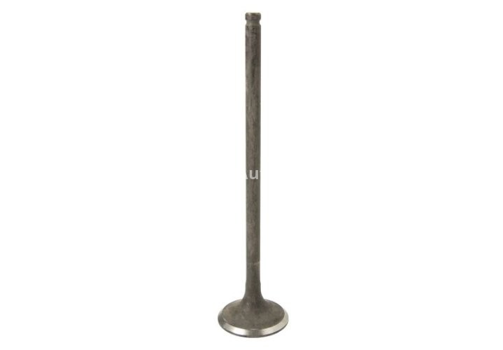 Supapă de evacuare Freccia , (dimensiuni: 28x5,5x118 mm) , pentru: HONDA JAZZ II 1.2 03.02-07.08