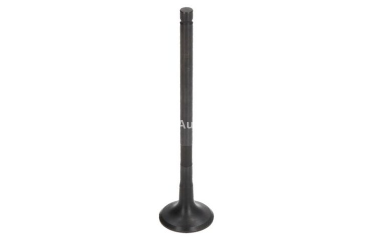 Supapă de evacuare Freccia , (dimensiuni: 24x5,5x98,8 mm) , pentru: MAZDA 2 1.3 01.10-06.15