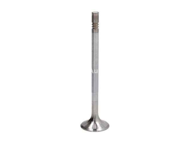 Supapă de evacuare Freccia , (dimensiuni: 25,4x6x102,3 mm) , pentru: MERCEDES A (W169), B SPORTS TOURER (W245), C (W203), C (W204), C T-MODEL (S203), C T-MODEL (S204), CLK (A209), CLK (C209) 1.5D/2.0D/3.0D 08.04-