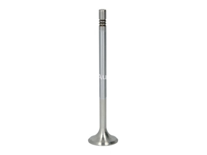 Supapă de evacuare Freccia , (dimensiuni: 24,7x6x109,2 mm) , pentru: MERCEDES A (W176), B SPORTS TOURER (W246, W242), C (A205), C (C204), C (C205), C (W204), C (W205), C T-MODEL (S204) 1.8D-2.2DH 06.06-