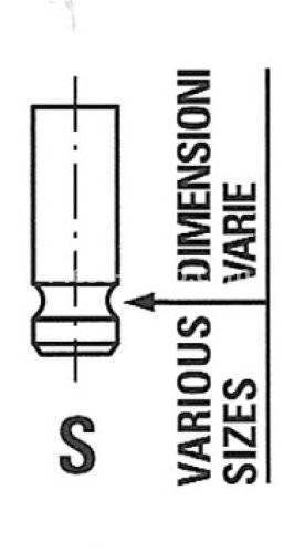 Supapă de evacuare Freccia , (dimensiuni: 25,45x5x102,5 mm) , pentru: NISSAN CUBE, JUKE, MICRA C+C III, MICRA III, NOTE, NV200, NV200 / EVALIA, QASHQAI I, SENTRA VII, TIIDA 1.6 05.05-