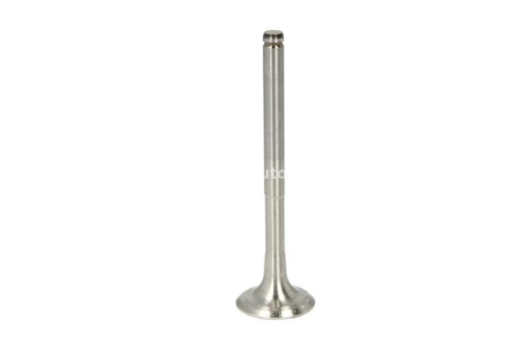 Supapă de evacuare Freccia , (dimensiuni:31,5x8x110 mm) , pentru: VOLVO S40 I, V40; OPEL ARENA; RENAULT CLIO I, CLIO II, KANGOO, KANGOO EXPRESS, MEGANE I, MEGANE SCENIC, SCENIC I, THALIA I, TRAFIC 1.9D 01.91-