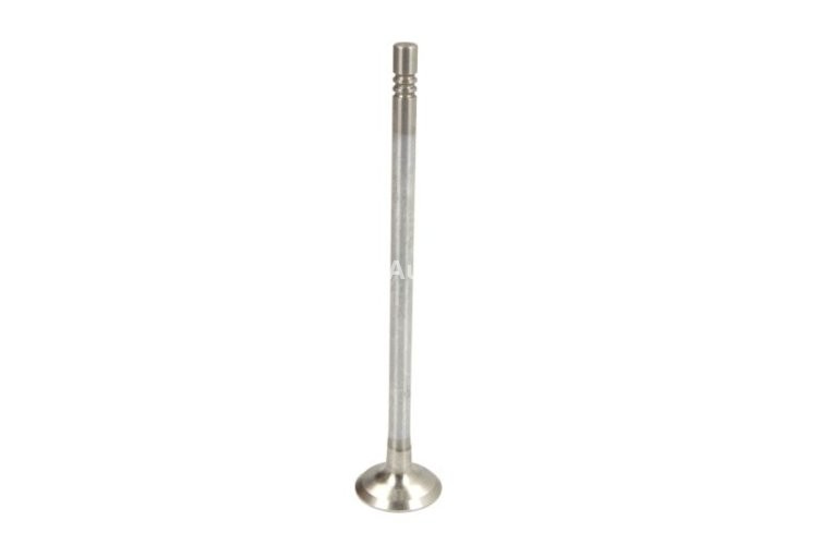 Supapă de evacuare Freccia , (dimensiuni: 22,1x5,5x112,6 mm) , pentru: RENAULT CLIO III, MODUS, TWINGO II, WIND 1.2 03.07-