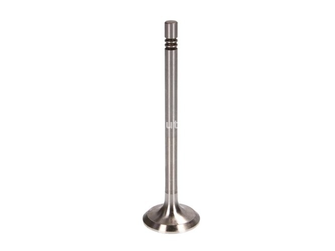 Supapă de evacuare Freccia , (dimensiuni: 28x6x99,2 mm) , pentru: SEAT AROSA, CORDOBA, CORDOBA VARIO, IBIZA II, IBIZA III, INCA; SKODA FABIA I, FABIA I PRAKTIK, FABIA II; VW CADDY II 1.2/1.4/1.6 09.93-12.14