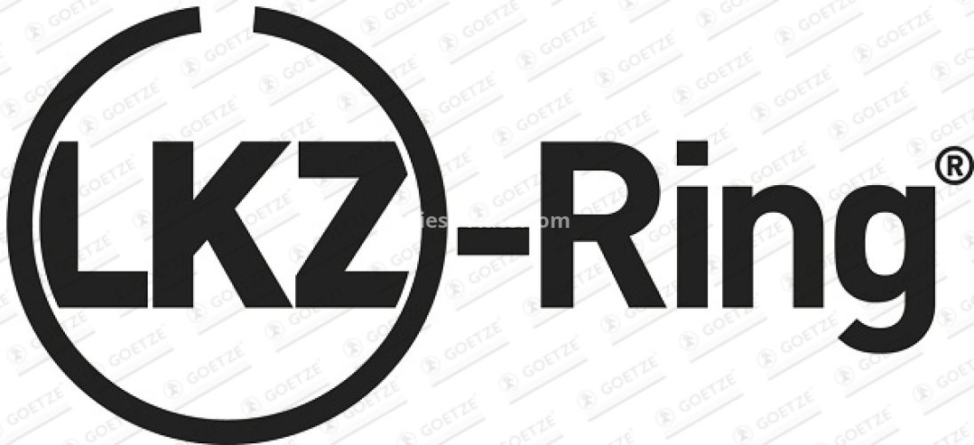 Segmenți piston GOETZE pentru : BMW 1 (E87), 3 (E46), 3 (E90), 3 (E91), 3 (E92), 3 (E93), 5 (E60), 5 (E61), 7 (E65, E66, E67), X3 (E83) 2.0D/3.0D 06.02-12.13 : BMW