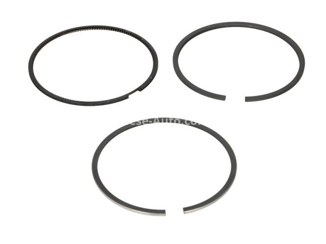 Segmenți piston GOETZE pentru : CITROEN C5 III, C6; JAGUAR S-TYPE II, XF I, XJ; LAND ROVER DISCOVERY III, DISCOVERY IV 2.7D/3.6D 06.04- : CITROEN; PEUGEOT