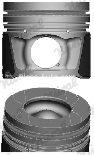 Piston motor Nüral, diametru: 81 mm , pentru : CITROEN C5 III, C6; JAGUAR S-TYPE II, XF I, XJ; LAND ROVER DISCOVERY III, DISCOVERY IV, RANGE ROVER SPORT I; PEUGEOT 607 2.7D 06.04-