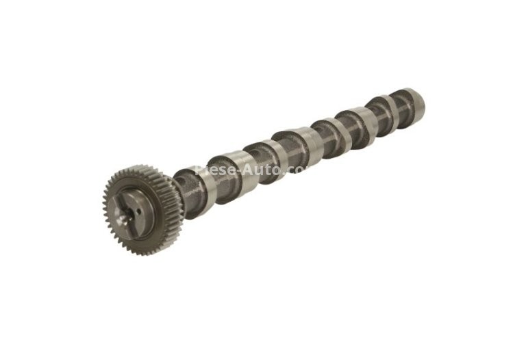 Ax came ,KOLBENSCHMIDT, partea de admisie ,pentru: AUDI A1, A3, A4 ALLROAD B8, A4 B8, A5, A6 C6, A6 C7, Q3, Q5, TT; SEAT ALHAMBRA, ALTEA, ALTEA XL, EXEO, EXEO ST 1.6D/2.0D 05.03-