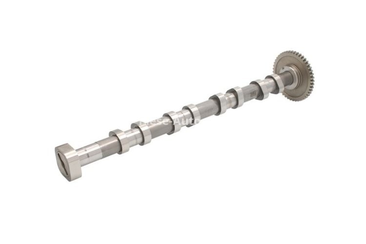 Ax came ,KOLBENSCHMIDT ,partea evacuării, pentru: AUDI A3, A4 B8, A5, TT; SEAT ALHAMBRA, ALTEA, ALTEA XL, EXEO, EXEO ST, LEON, TOLEDO III; SKODA OCTAVIA II, SUPERB II, YETI; VW CC B7 1.8 11.06-
