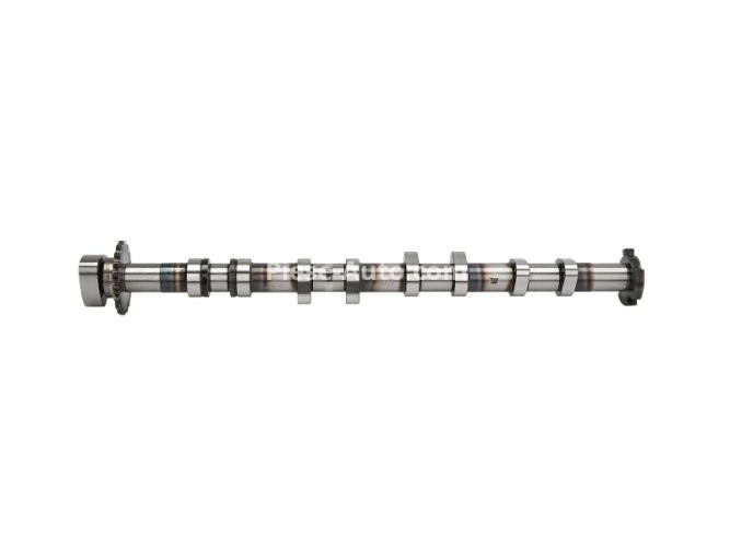 Ax came ,AMC, partea de admisie ,pentru: AUDI A3, A4 B7, A6 C6, TT; SEAT ALTEA, ALTEA XL, LEON, TOLEDO III; SKODA OCTAVIA II; VW EOS, GOLF V, JETTA III, PASSAT B6 2.0 09.04-08.15