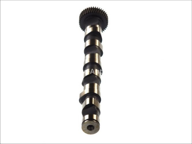 Ax came ,AE,partea evacuarii, 4 cilindri 1; 2; 3 , pentru: AUDI A4 B5, A4 B6, A6 C5, A8 D2, ALLROAD C5; SKODA SUPERB I; VW PASSAT B5, PASSAT B5.5 2.5D 01.97-12.05