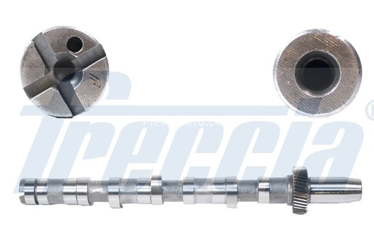 Ax came ,FRECCIA, partea de admisie, 4 cilindri 4; 5; 6 , pentru: AUDI A4 B5, A4 B6, A6 C5, A8 D2, ALLROAD C5; SKODA SUPERB I; VW PASSAT B5, PASSAT B5.5 2.5D 01.97-12.05