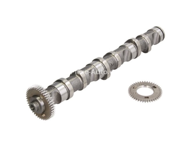 Ax came ,AUTLOG ,partea evacuarii , pentru: AUDI A4 B6, A4 B7, A6 C5; VW PASSAT B5.5 2.5D 02.00-05.06