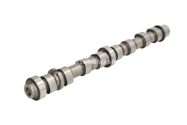Ax came ,AE, partea de admisie ,pentru: CADILLAC BLS; OPEL ASTRA H, ASTRA H GTC, ASTRA J, ASTRA J GTC, CASCADA, INSIGNIA A, INSIGNIA A COUNTRY, SIGNUM 1.9D/2.0D 04.04-