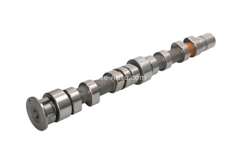 Ax came ,KOLBENSCHMIDT, partea de admisie ,pentru: VW GOLF V 1.4 10.03-07.06