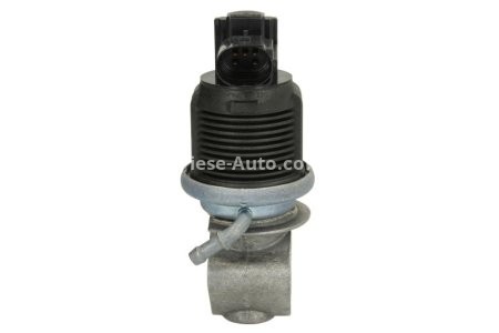 Supapă / valvă  EGR - Pierburg , pentru: AUDI A2; SEAT AROSA, CORDOBA, CORDOBA VARIO, IBIZA II, IBIZA III, INCA, LEON, TOLEDO II; SKODA FABIA I, OCTAVIA I, OCTAVIA II; VW BORA, BORA I, CADDY II 1.4/1.6 11.95-04.12