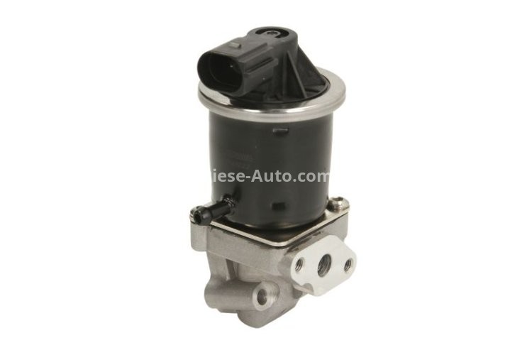 Supapă / valvă  EGR - EngiTech , pentru: SEAT AROSA; VW LUPO I, POLO, POLO III CLASSIC 1.0/1.4 12.95-07.05