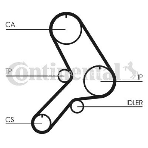 Kit distribuție CONTI (curea + role) pentru: CITROEN C25; FIAT DUCATO 1.9D 03.89-04.02