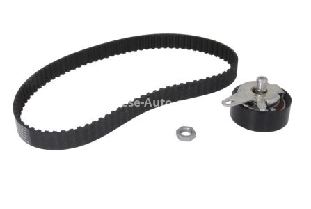 Kit distribuție INA (curea + role) pentru: AUDI A4 B5, A4 B6, A4 B7, A6 C5, A8 D2, ALLROAD C5; SKODA SUPERB I; VW PASSAT B5, PASSAT B5.5 2.5D 01.97-03.08