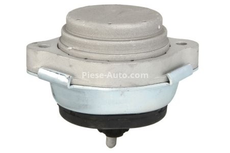 Suport motor REINHOCH față stânga / dreapta, hidraulic pentru: BMW X5 (E53) 3.0 04.00-12.06