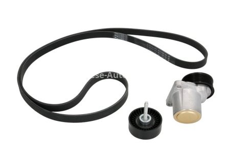 Set curea transmisie INA - cu role , întinzător - pentru: FORD GALAXY II, MONDEO IV, S-MAX 2.0/2.0ALK/2.0LPG 05.06-06.15