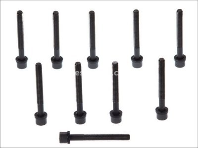 Set șuruburi / prezoane chiulasă - ELRING - pentru:  AUDI A4, A6; SEAT ALHAMBRA, IBIZA II; VW CADDY II, DERBY, GOLF I, PASSAT, POLO 1.0-2.0 02.74-09.00