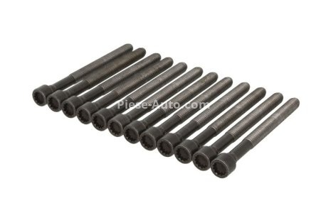 Set șuruburi / prezoane chiulasă - ELRING -  pentru: AUDI A6 C6, A8 D3 5.2 03.06-08.11