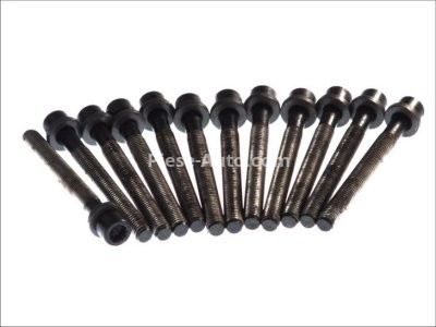 Set șuruburi / prezoane chiulasă - ELRING - pentru:  AUDI A3, A4, A6; FORD GALAXY; SEAT ALHAMBRA, CORDOBA, IBIZA II, TOLEDO I; VOLVO S70, S80; VW CADDY II, CORRADO, GOLF III, IV, PASSAT, POLO 1.3D-2.9 02.77-08.07