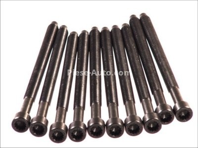 Set șuruburi / prezoane chiulasă - ELRING - pentru:  AUDI A3, A4; FORD GALAXY; SEAT ALHAMBRA, ALTEA, CORDOBA, LEON, TOLEDO; SKODA FABIA, OCTAVIA, SUPERB; VW BORA, CADDY III, PASSAT, SHARAN, TRANSPORTER V 1.9/2.0 03.95-