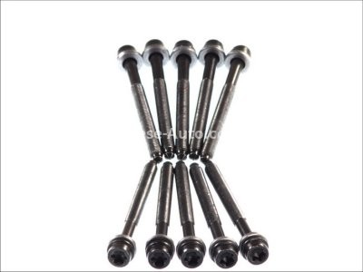 Set șuruburi / prezoane chiulasă - ELRING - pentru:  AUDI A3, A4; SEAT CORDOBA, IBIZA, LEON, TOLEDO; SKODA FABIA, OCTAVIA, SUPERB; VW GOLF IV, V, VI, JETTA, PASSAT 1.6/2.0 11.94-