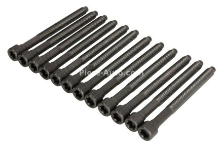 Set șuruburi / prezoane chiulasă - ELRING - pentru:  AUDI A3, TT; VW JETTA III, IV, NEW BEETLE 2.5 07.05-