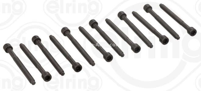 Set șuruburi / prezoane chiulasă - ELRING - pentru:  AUDI A3, TT; VW JETTA III, IV, NEW BEETLE 2.5 07.05-