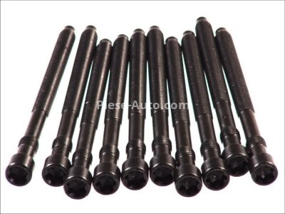 Set șuruburi / prezoane chiulasă - ELRING - pentru:  AUDI A4, A6; VW PASSAT 2.0 11.00-06.08