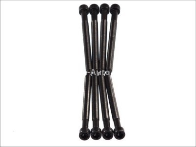 Set șuruburi / prezoane chiulasă - ELRING - pentru:  AUDI A2; SEAT AROSA, CORDOBA, IBIZA IV, V; SKODA FABIA, ROOMSTER; VW FOX, LUPO, POLO 1.4TDI 01.99-