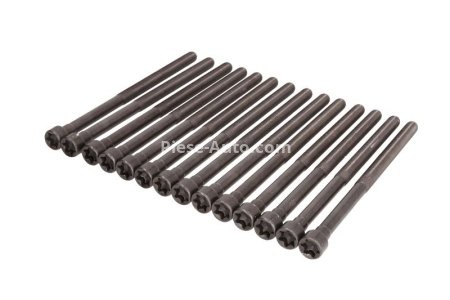 Set șuruburi / prezoane chiulasă - ELRING -  (14pcs) pentru: BMW 1 (F20), 1 (F21), 2 (F22, F87), 2 (F23), 2 (G42, G87), 3 (F30, F80), 3 (F31), 3 (G20, G80, G28), 3 (G21), 3 (G21, G81), 3 GRAN TURISMO (F34) 3.0/3.0H 07.15-