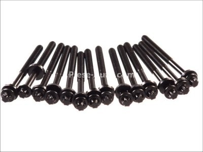 Set șuruburi / prezoane chiulasă - ELRING - pentru:  BMW 3 (E36, E46), 5 (E34, E39, E60), 7 (E38, E65, E66, E67), X3 (E83), X5 (E53); LAND ROVER RANGEO ROVER II, III; OPEL OMEGA B 2.5D/3.0D 09.91-