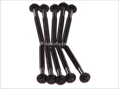 Set șuruburi / prezoane chiulasă - ELRING - pentru:  DACIA DUSTER, LOGAN, SANDERO; NISSAN KUBISTAR; RENAULT CLIO II, III, KANGOO, LAGUNA I, II, III, MEGANE, SCENIC, THALIA I, II, TWINGO II 1.4/1.6 11.97-