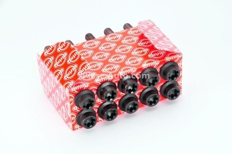 Set șuruburi / prezoane chiulasă - ELRING - pentru:  FIAT ALBEA, BRAVA I, BRAVO, DOBLO, MAREA, MULTIPLA, PALIO, STILO; LANCIA DEDRA, DELTA II, LYBRA 1.6 10.95-