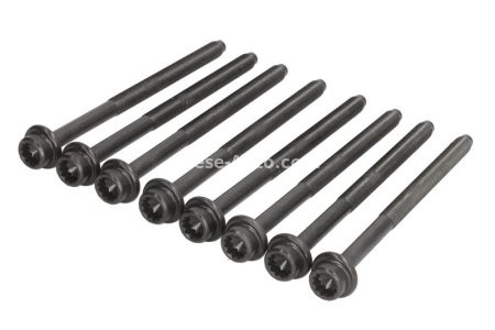 Set șuruburi / prezoane chiulasă - ELRING - pentru:  AUDI A2, A3; SEAT ALTEA, AROSA, CORDOBA, IBIZA II, III, IV, V, LEON; SKODA CITIGO, FABIA, OCTAVIA, ROOMSTER; VW CADDY III, EOS, GOLF IV, TOURAN, UP 1.0/1.4/1.6 11.95-