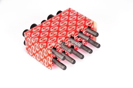 Set șuruburi / prezoane chiulasă - ELRING - pentru:  SEAT AROSA, CORDOBA, IBIZA II, IIIM INCA; SKODA FELICIA I, II, OCTAVIA; VW CADDY II, GOLF III, POLO, VENTO 1.3/1.4/1.6 10.91-09.04