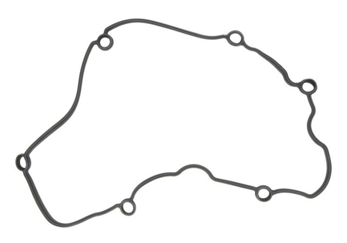 Garnitură capac culbutori ELRING pentru: FORD USA MUSTANG; LAND ROVER DISCOVERY III 4.0 10.04-12.10