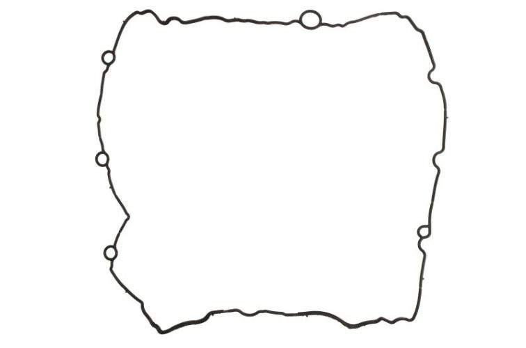 Garnitură capac culbutori ELRING pentru: BMW 1 (F20), 1 (F21), 2 (F22, F87), 2 (F23), 3 (F30, F80), 3 (F31), 3 GRAN TURISMO (F34), 4 (F32, F82), 4 (F33, F83), 4 GRAN COUPE (F36), 5 (G30, F90), 5 (G31) 3.0 07.15-